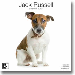 jack russell calendar